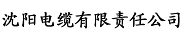 麻豆视频官网在线观看电缆厂logo